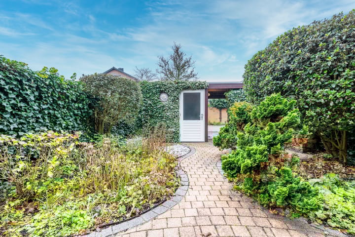 Foto 17 van Beukenhout 72