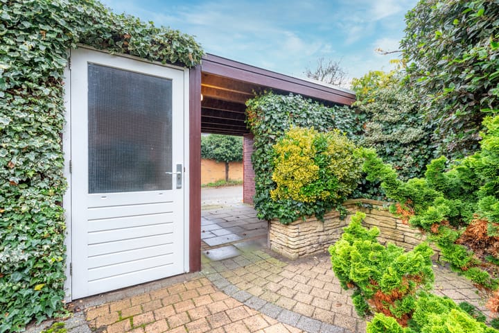 Foto 18 van Beukenhout 72