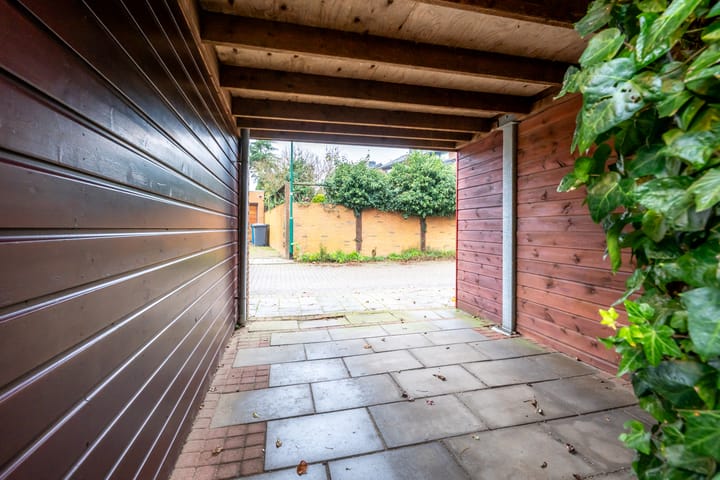 Foto 19 van Beukenhout 72