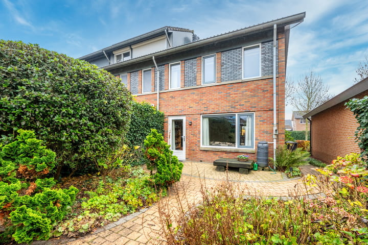 Foto 20 van Beukenhout 72