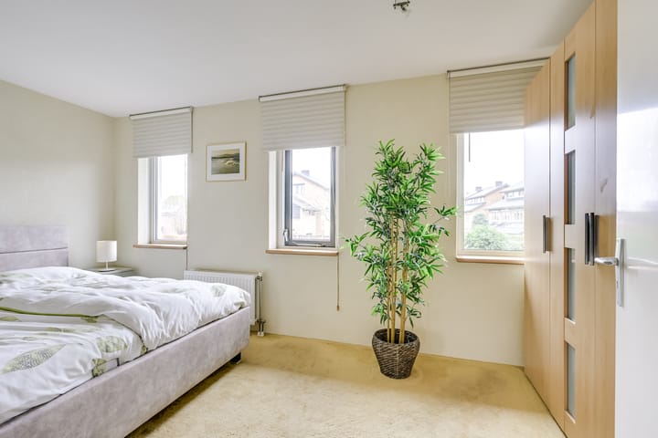 Foto 23 van Beukenhout 72