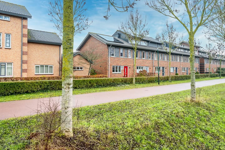 Foto 34 van Beukenhout 72