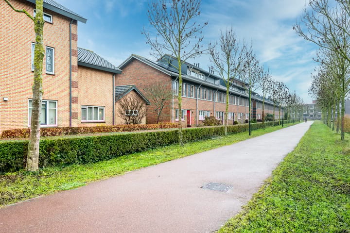 Foto 33 van Beukenhout 72