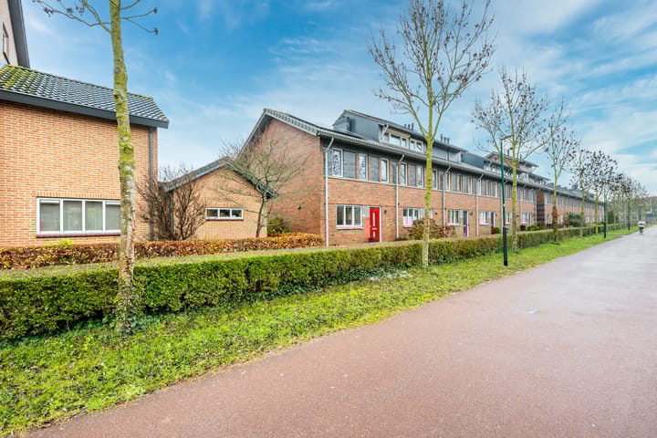 Foto 35 van Beukenhout 72