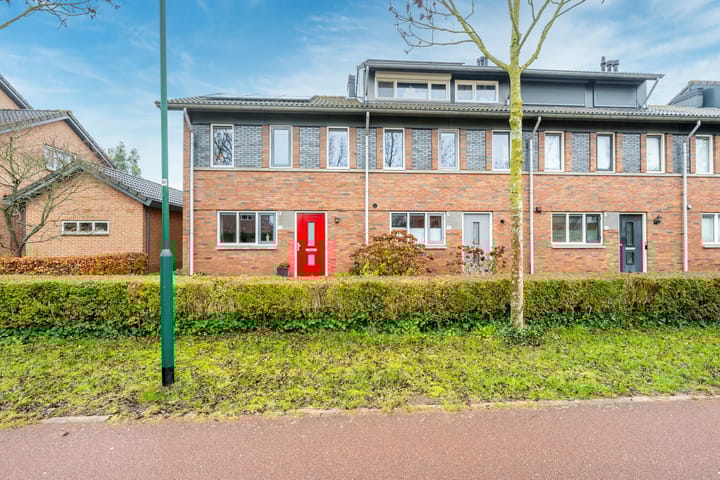 Foto 36 van Beukenhout 72