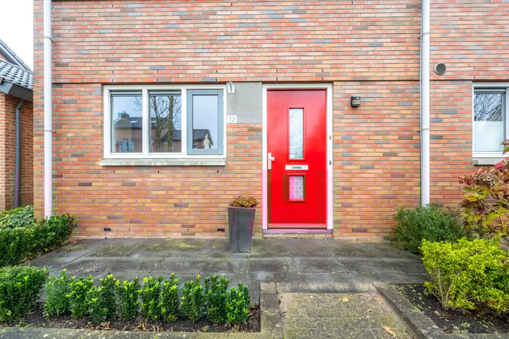 Foto 38 van Beukenhout 72