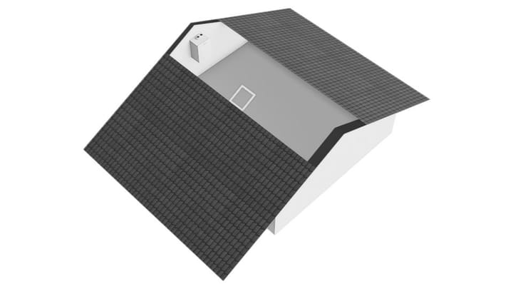 Foto 47 van Beukenhout 72