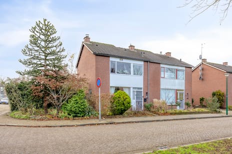 undefined main image