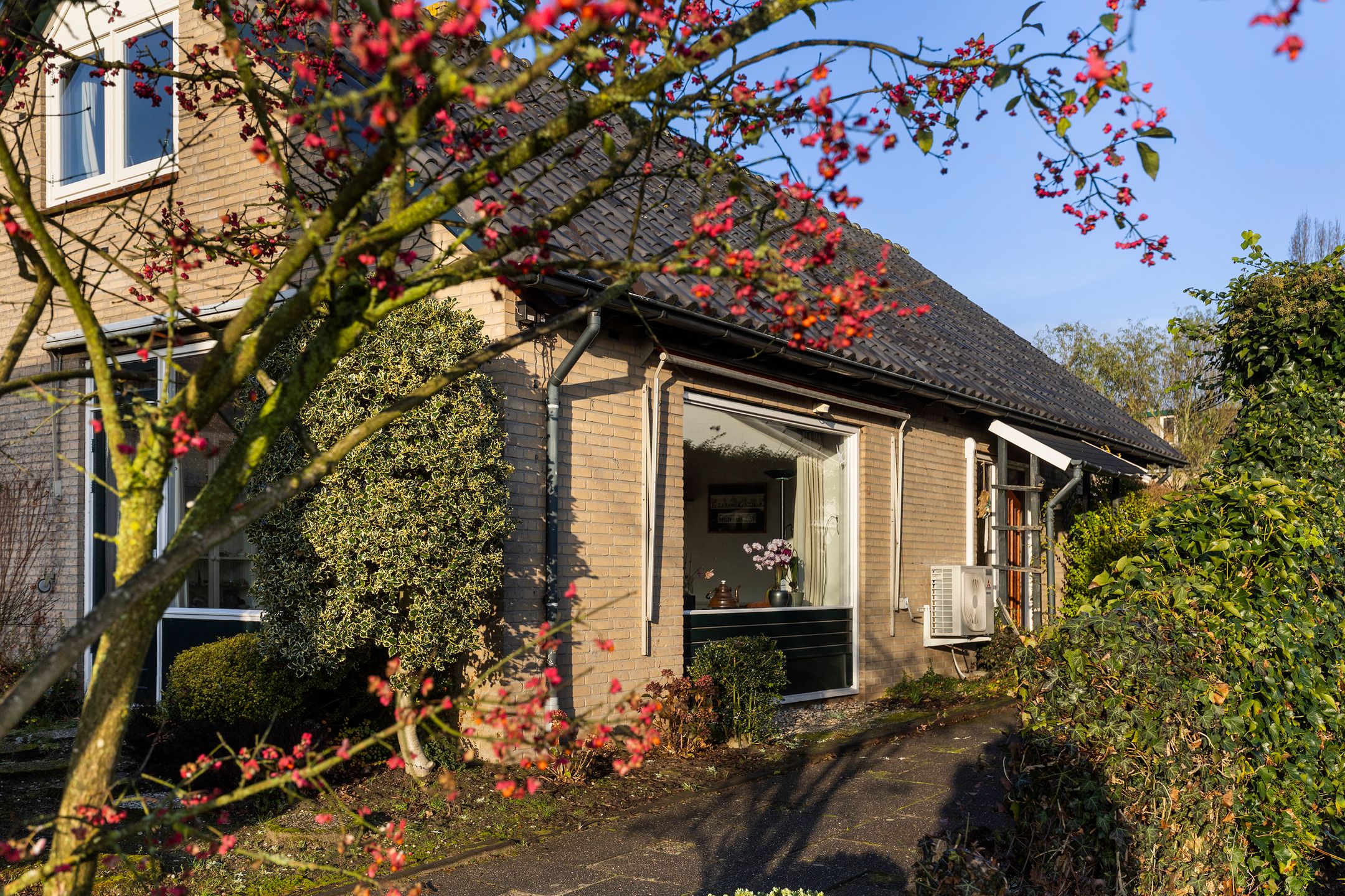 Foto 9 van Seringenstraat 8