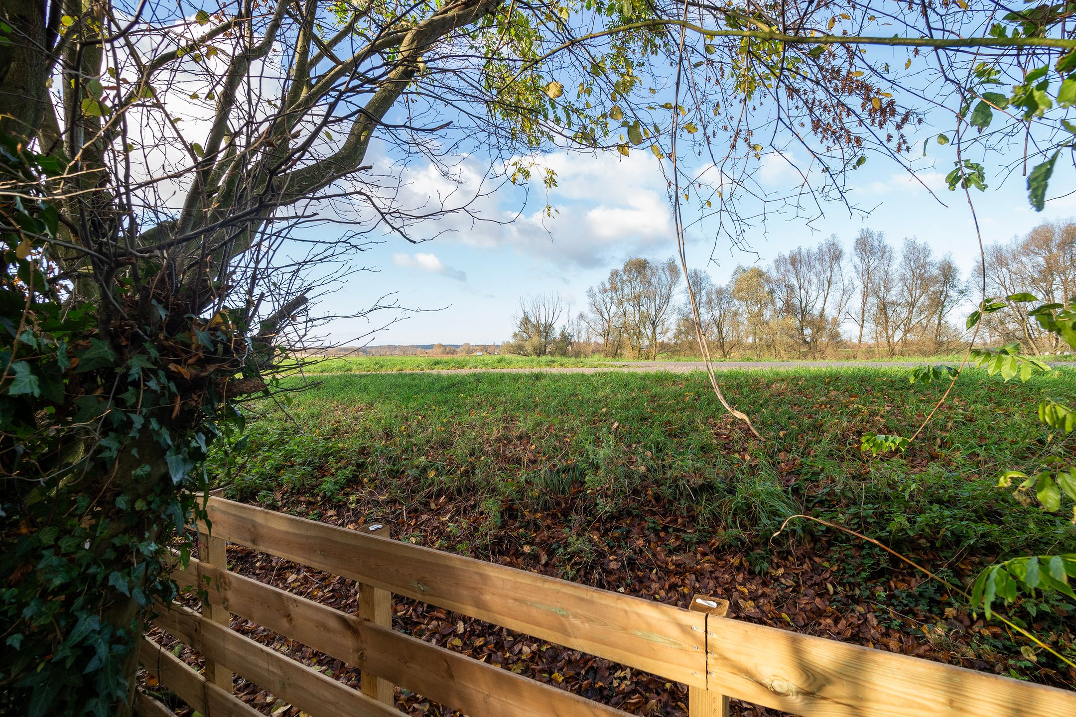 Photo 18 of De Pol 69