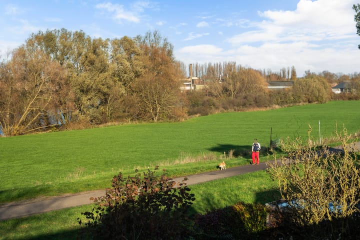 Photo 19 of De Pol 69