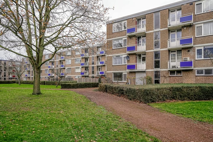 Photo 27 of Burgemeester Crezéestraat 81