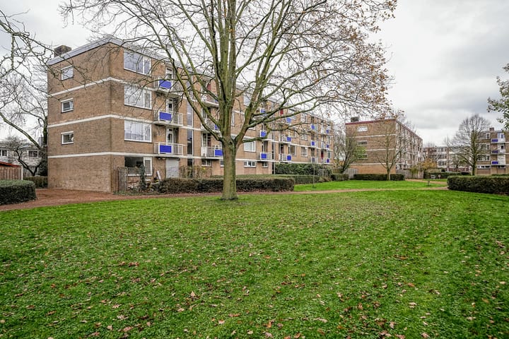 Photo 28 of Burgemeester Crezéestraat 81