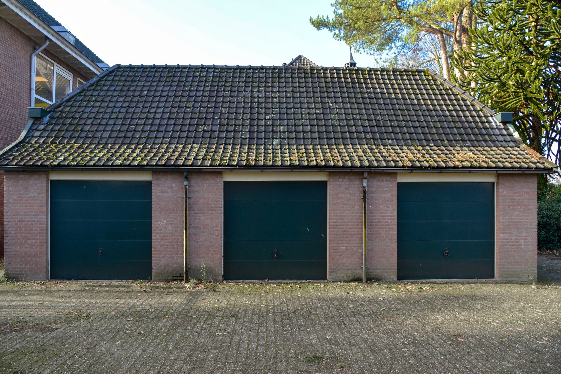 Foto 15 van Evertas 2