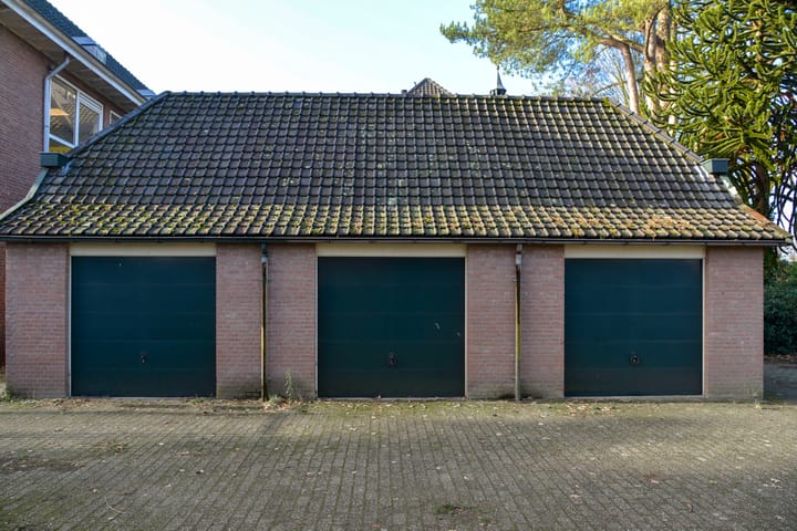 Photo 15 of Evertas 2