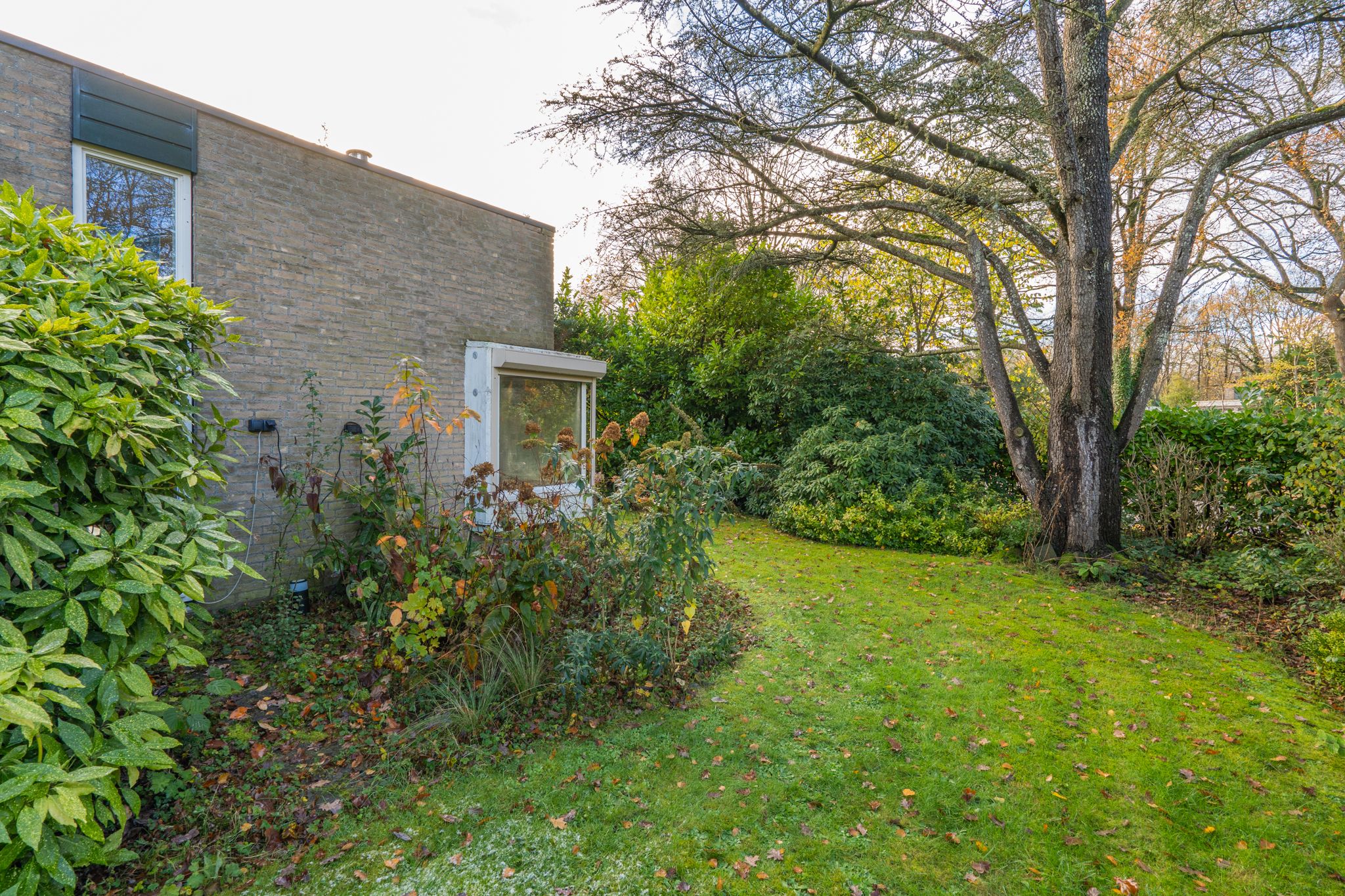 Foto 51 van Pericleslaan 2