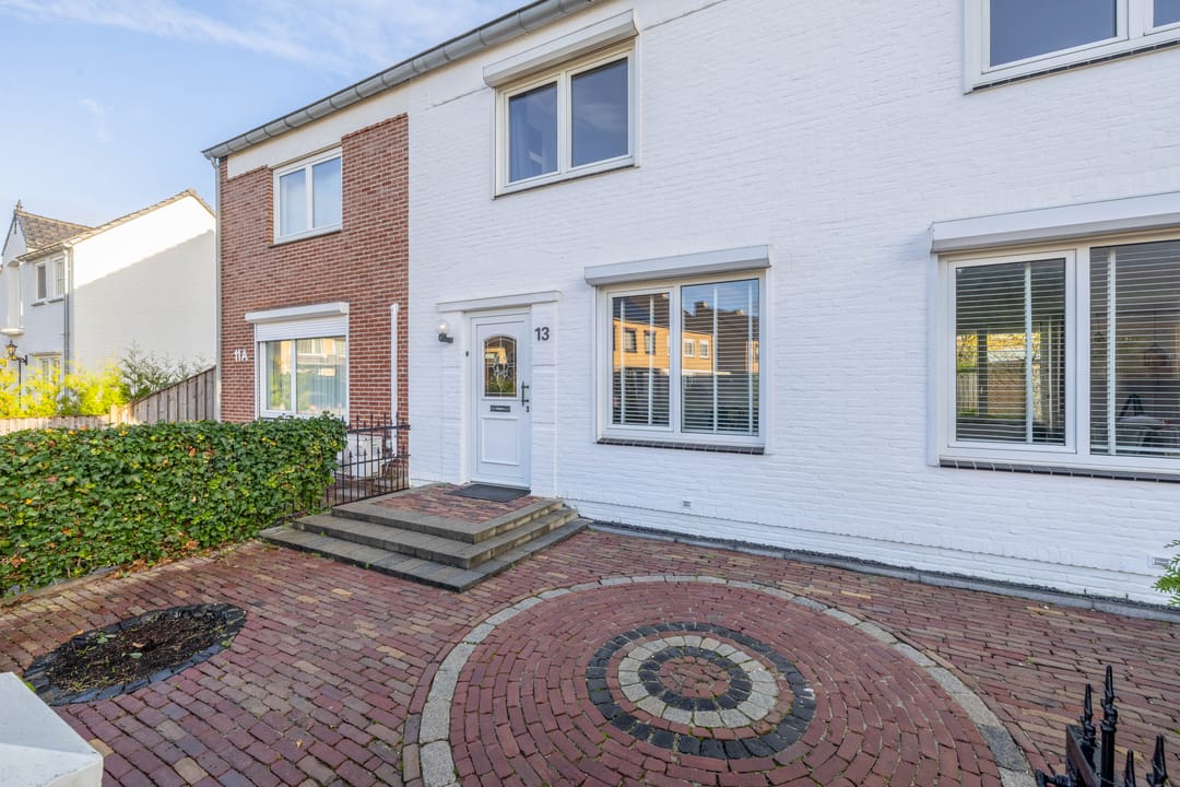 Foto 2 van Windhond 13