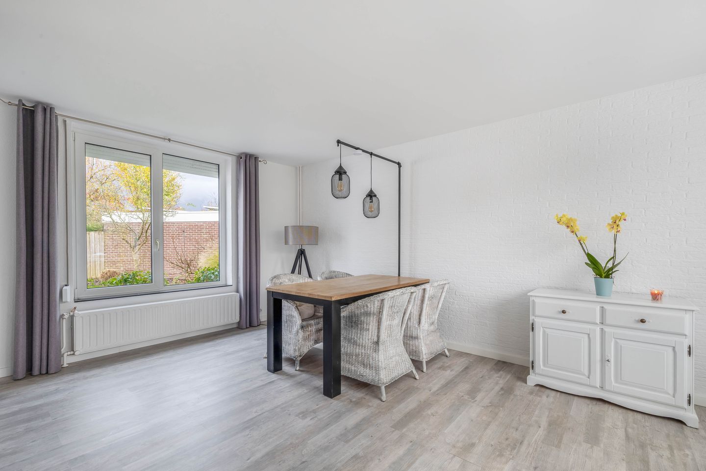 Foto 4 van Windhond 13