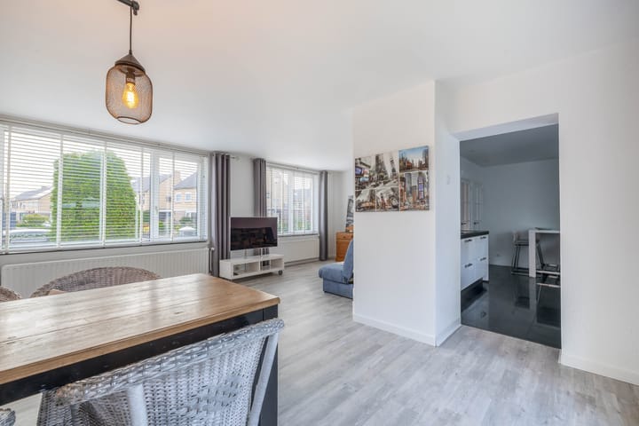 Foto 5 van Windhond 13