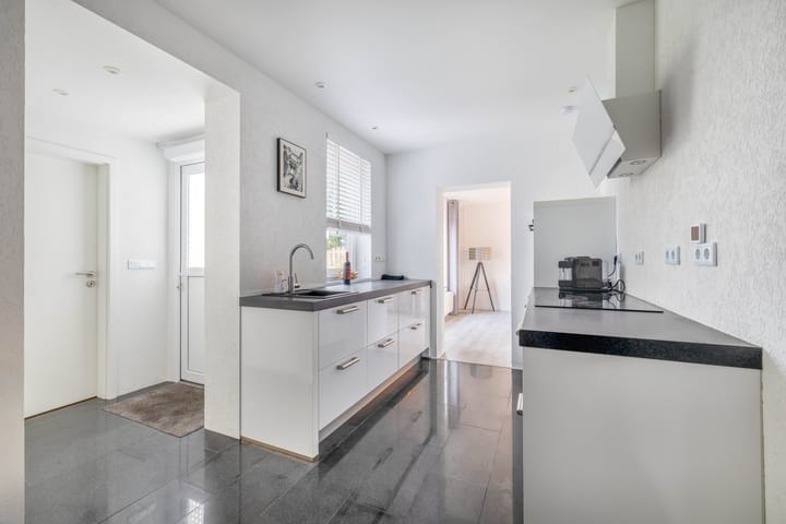 Foto 6 van Windhond 13