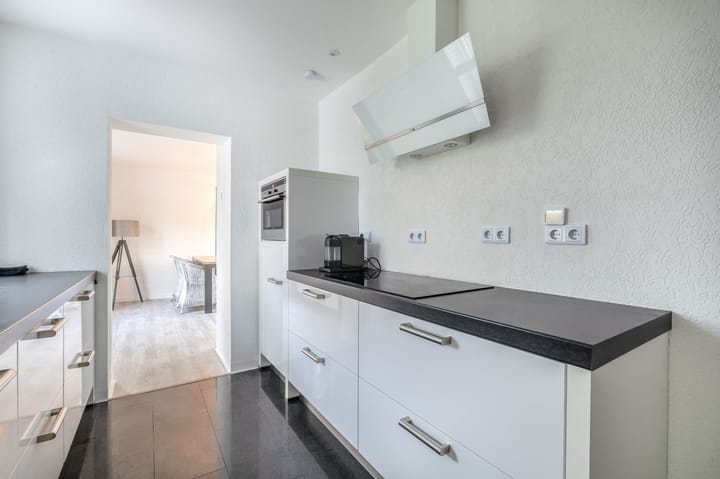 Foto 7 van Windhond 13