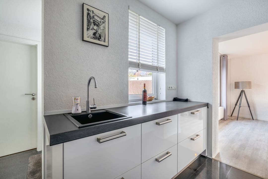 Foto 8 van Windhond 13