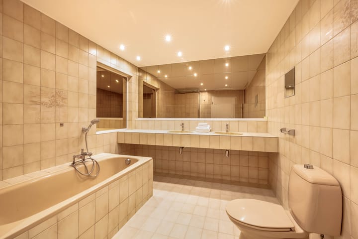 Foto 11 van Windhond 13