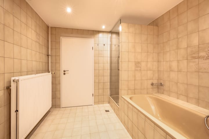 Foto 12 van Windhond 13