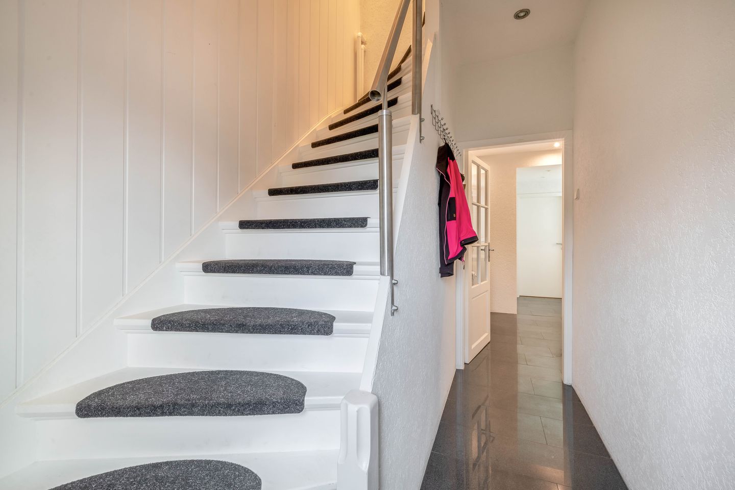 Foto 14 van Windhond 13