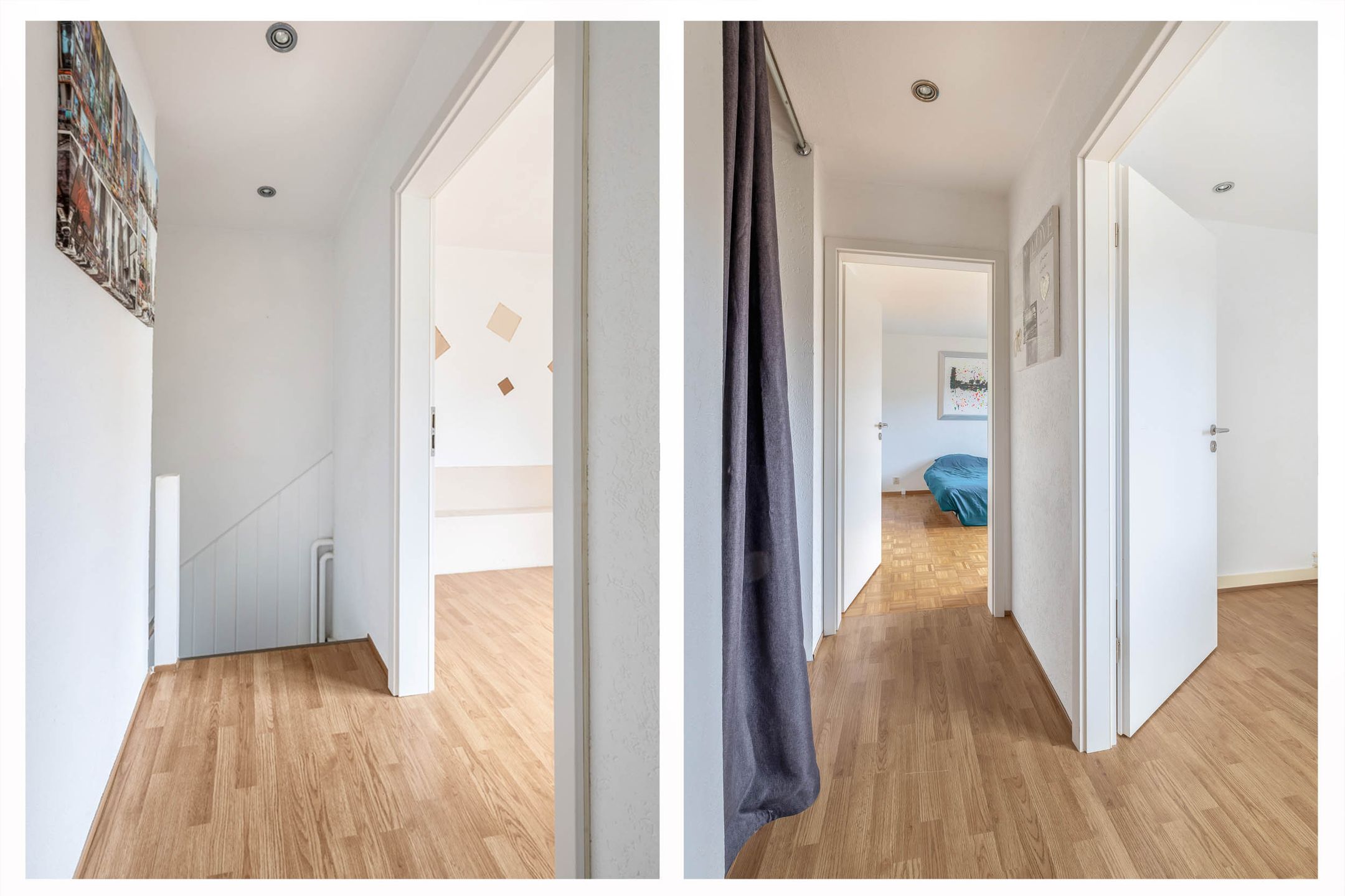 Foto 15 van Windhond 13