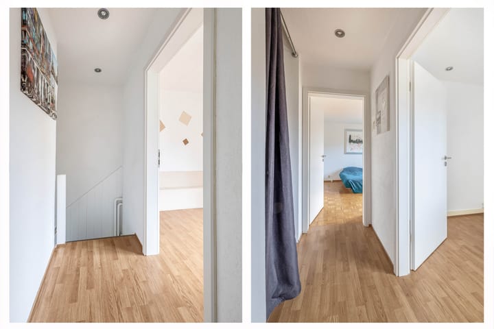 Foto 15 van Windhond 13