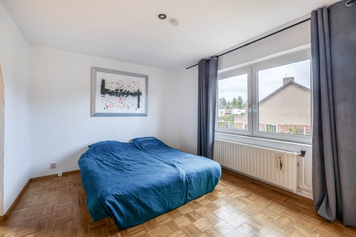 Foto 16 van Windhond 13