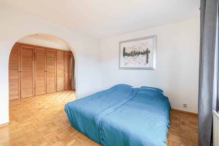 Foto 17 van Windhond 13