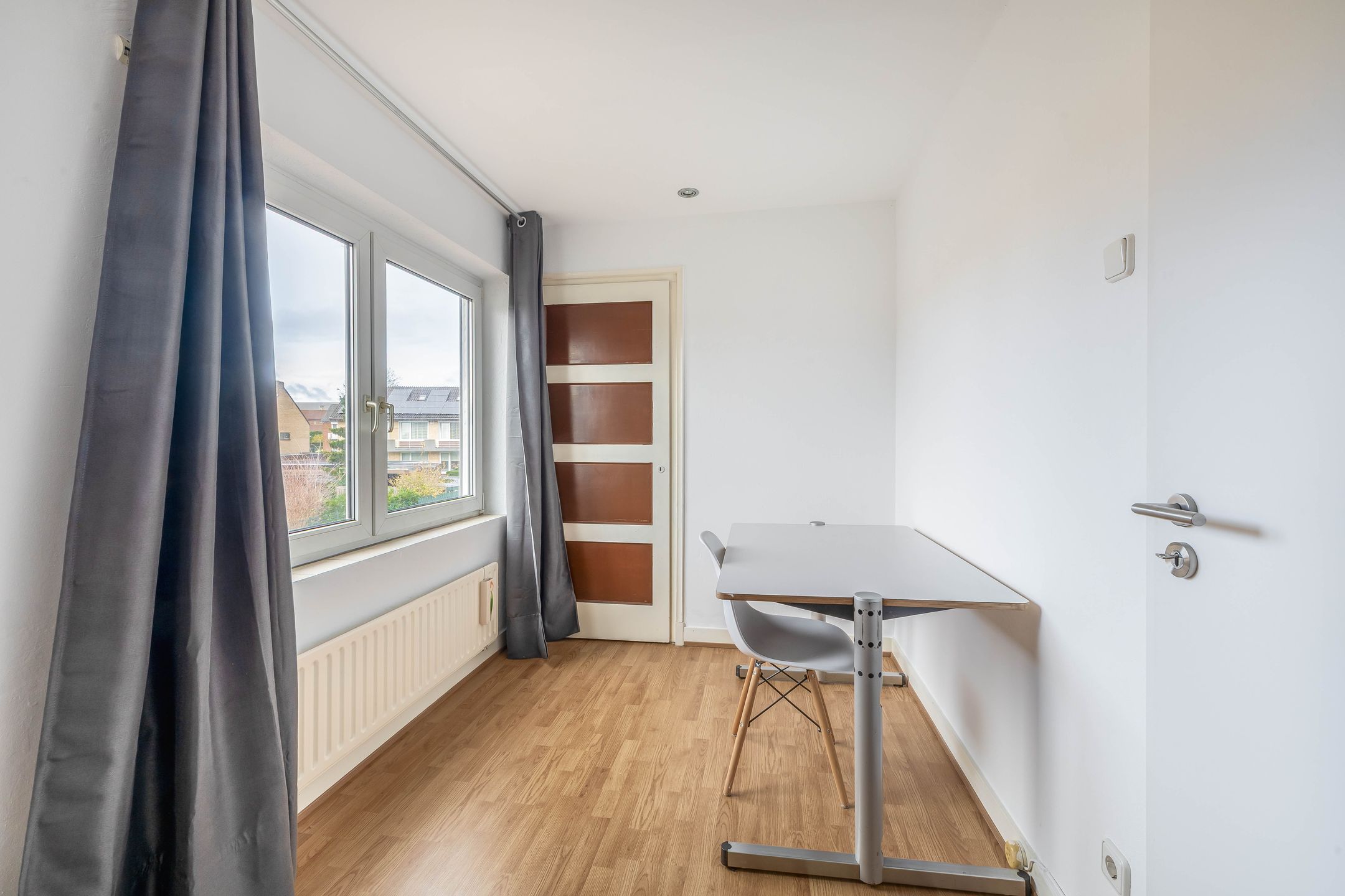 Foto 21 van Windhond 13