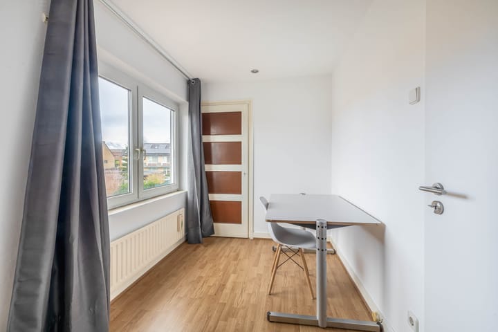 Foto 21 van Windhond 13