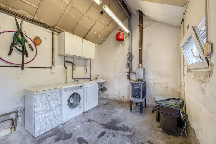 Foto 13 van Windhond 13