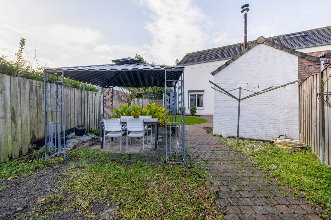 Foto 26 van Windhond 13