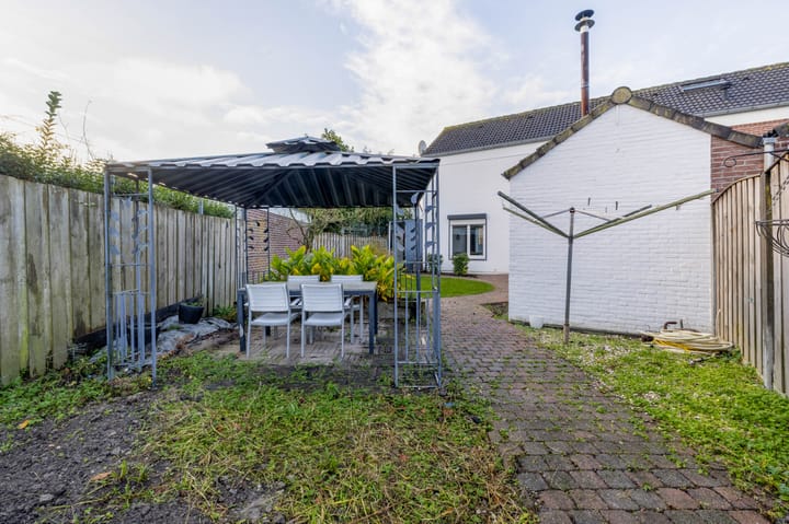 Foto 26 van Windhond 13