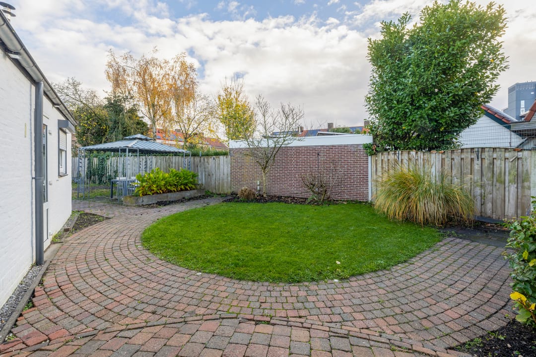 Foto 23 van Windhond 13