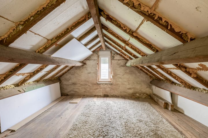 Foto 22 van Windhond 13