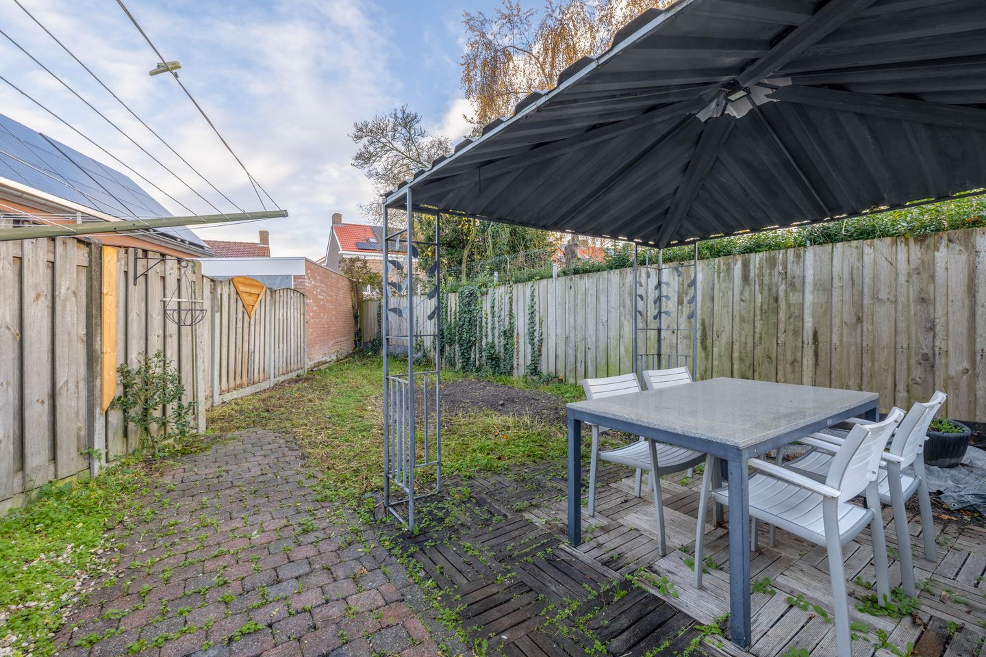 Foto 25 van Windhond 13