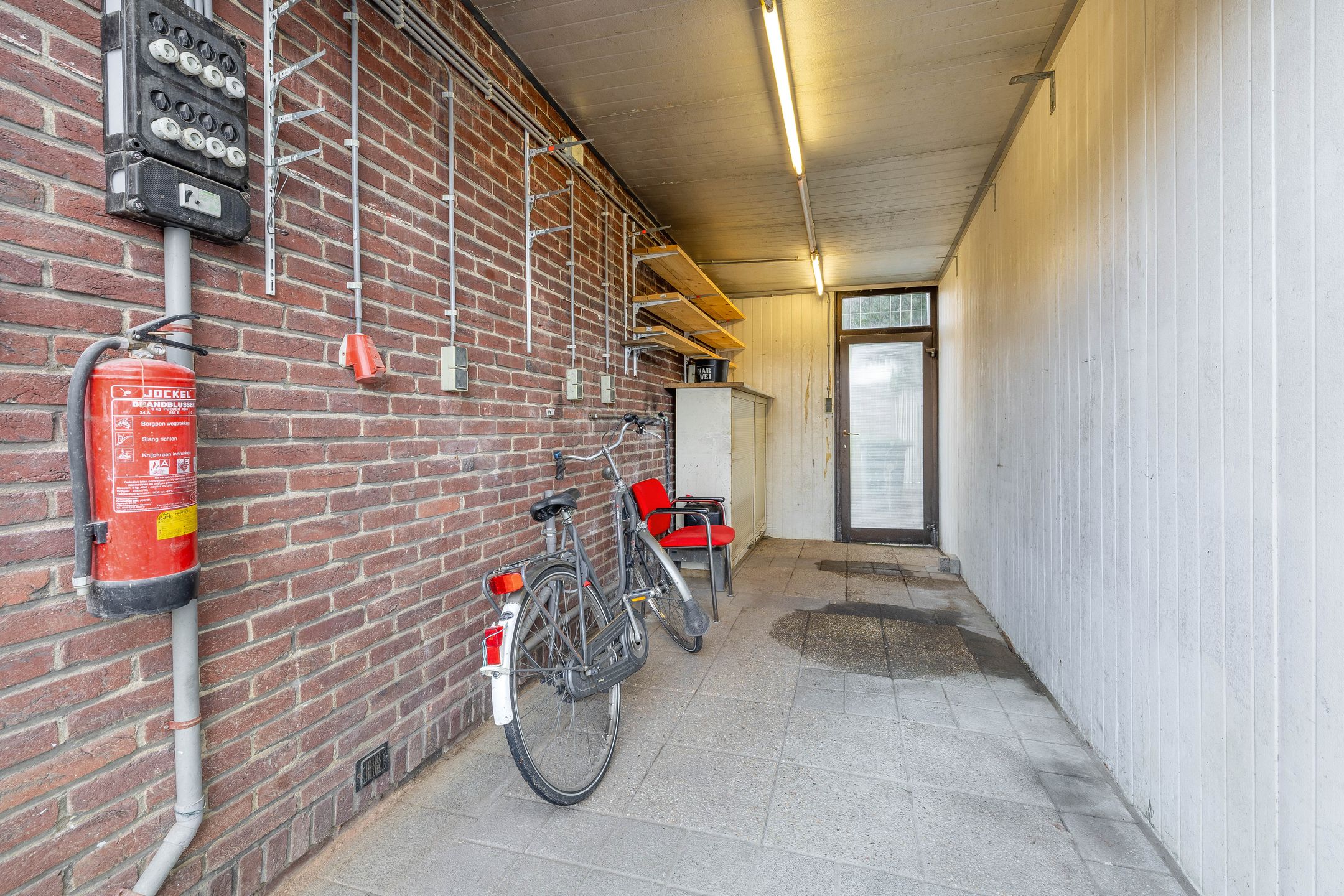 Foto 30 van Windhond 13