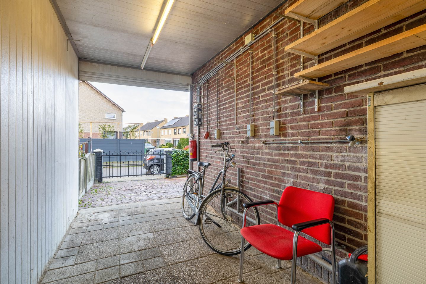 Foto 29 van Windhond 13