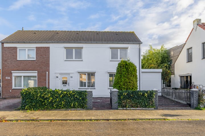 Foto 27 van Windhond 13