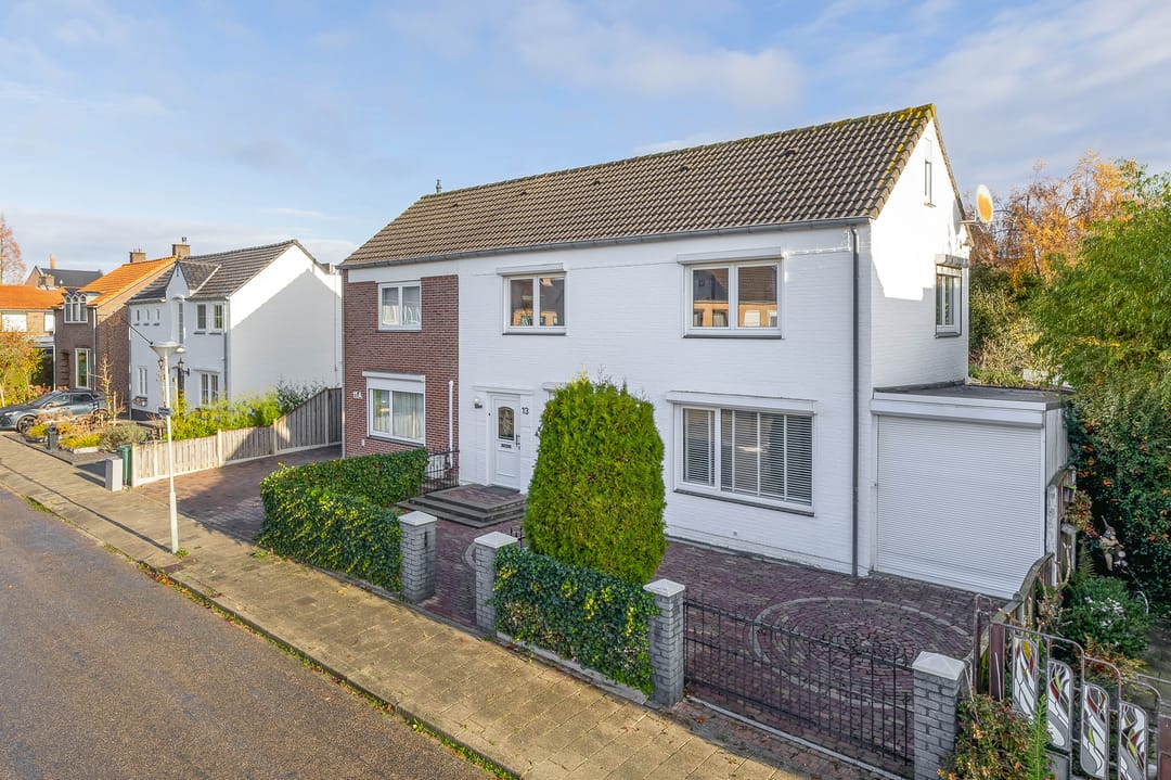 Foto 28 van Windhond 13