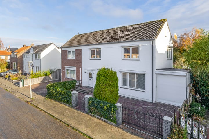 Foto 28 van Windhond 13