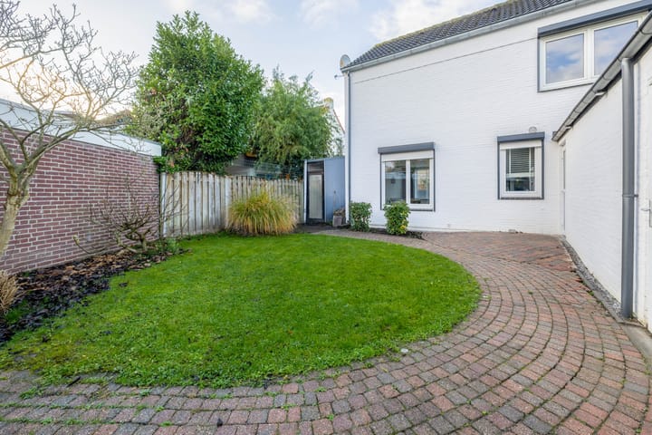 Foto 24 van Windhond 13