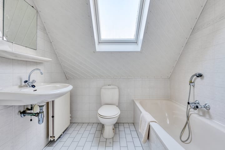 Foto 31 van Koewijzend 30-C