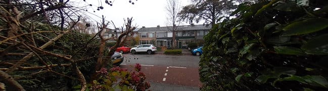 Voortuin