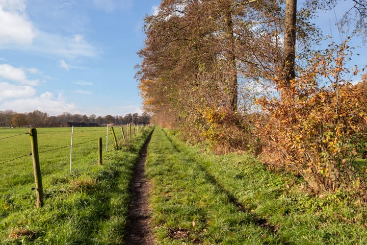 Photo 52 of Schoolstraat 44